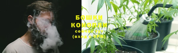 Альфа ПВП Бугульма