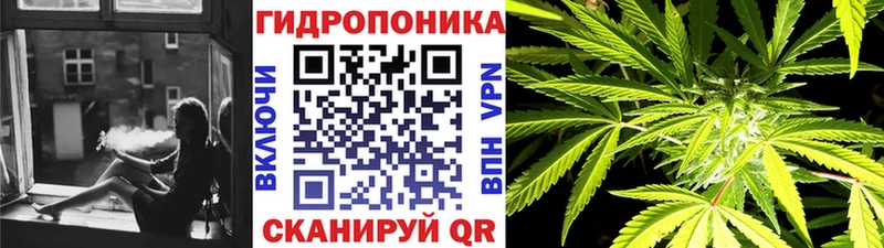 Канабис индика  Купить  Томари 